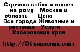 Стрижка собак и кошек на дому.  Москва и область.  › Цена ­ 1 200 - Все города Животные и растения » Услуги   . Хабаровский край